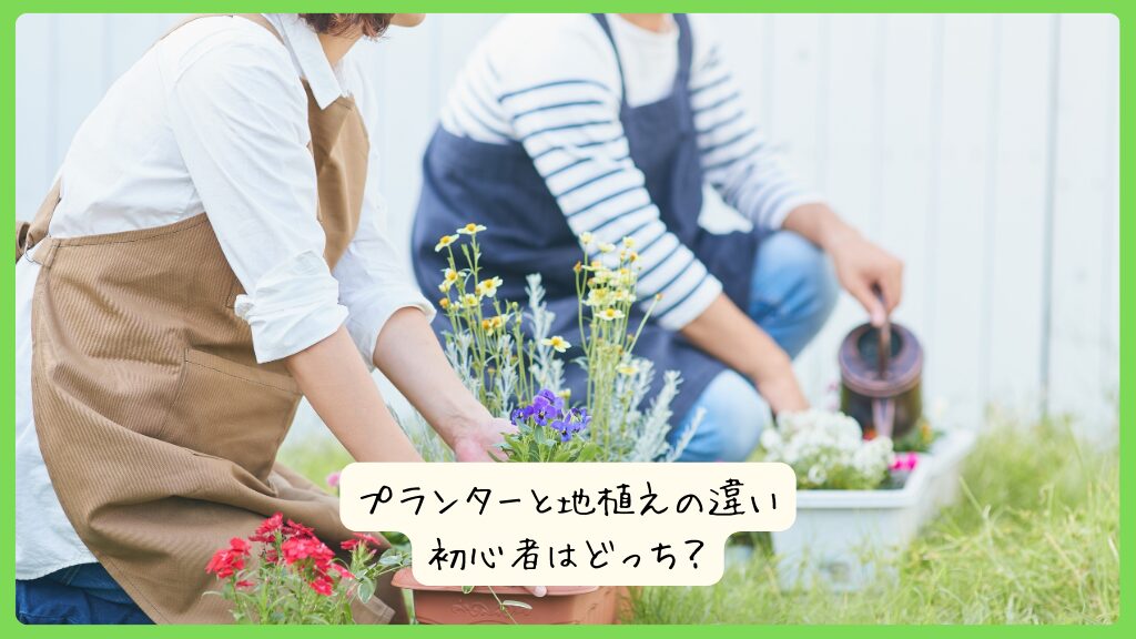 プランターと地植えの違い｜初心者はどっち？