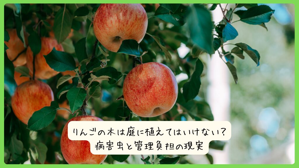 りんごの木は庭に植えてはいけない？病害虫と管理負担の現実