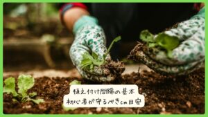 植え付け間隔の基本｜初心者が守るべきcm目安
