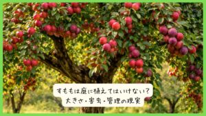 すももは庭に植えてはいけない？大きさ・害虫・管理の現実