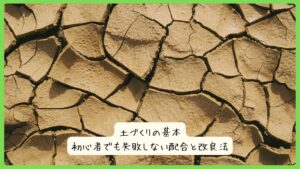土づくりの基本｜初心者でも失敗しない配合と改良法