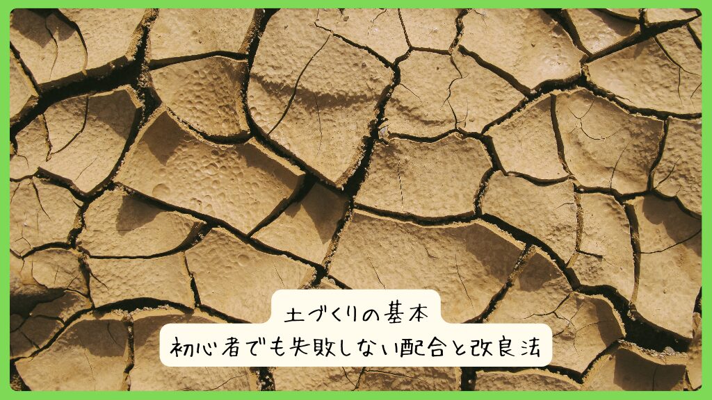 土づくりの基本｜初心者でも失敗しない配合と改良法