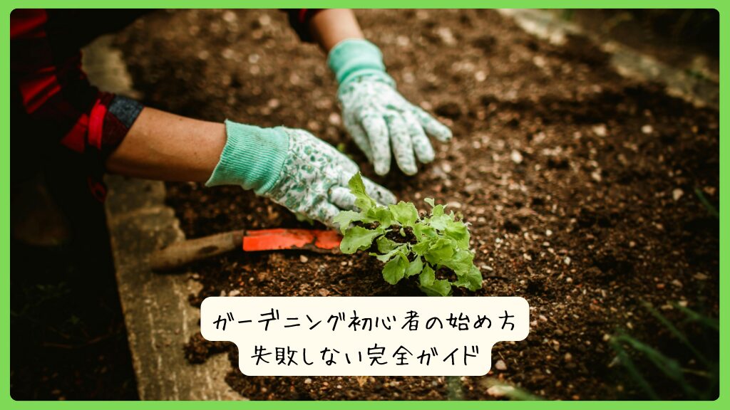 【保存版】ガーデニング初心者の始め方｜失敗しない完全ガイド