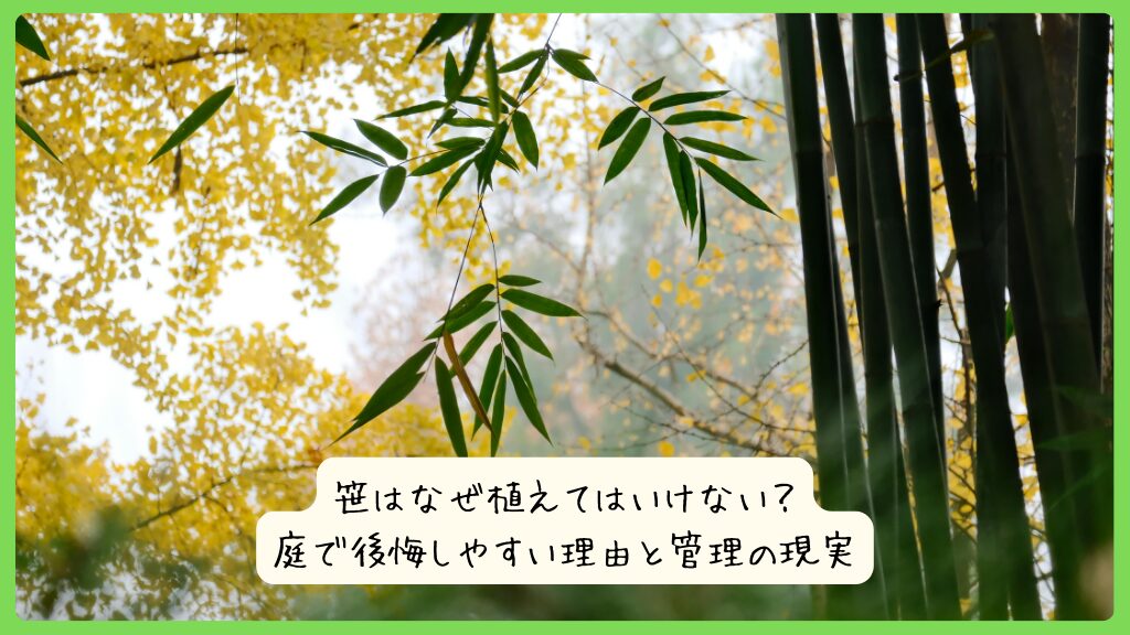 笹はなぜ植えてはいけない？庭で後悔しやすい理由と管理の現実