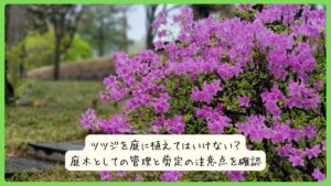 ツツジを庭に植えてはいけない？庭木としての管理と剪定の注意点を確認