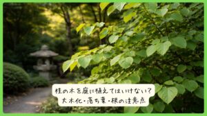 桂の木を庭に植えてはいけない？大木化・落ち葉・根の注意点