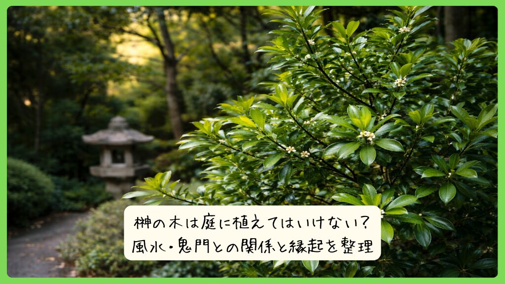 榊の木は庭に植えてはいけない？風水・鬼門との関係と縁起を整理