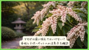 アセビは庭に植えてはいけない？毒性と子供・ペットへの注意点を確認