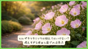 ヒルザキツキミソウは植えてはいけない？増えすぎる理由と庭での注意点
