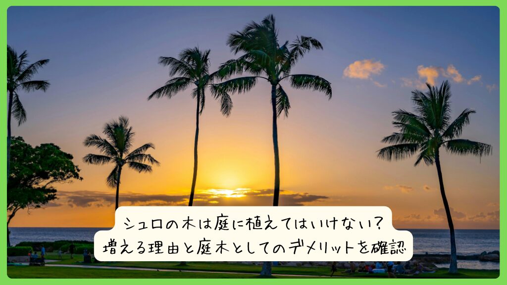 シュロの木は庭に植えてはいけない？増える理由と庭木としてのデメリットを確認