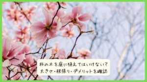 朴の木を庭に植えてはいけない？大きさ・根張り・デメリットを確認