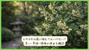 ヒサカキは庭に植えてはいけない？臭い・常緑・後悔の理由を確認