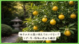 柚子の木は庭に植えてはいけない？トゲ・虫・後悔の理由を確認