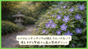 ヒメツルニチニチソウは植えてはいけない？増えすぎる繁殖力と庭の管理ポイント